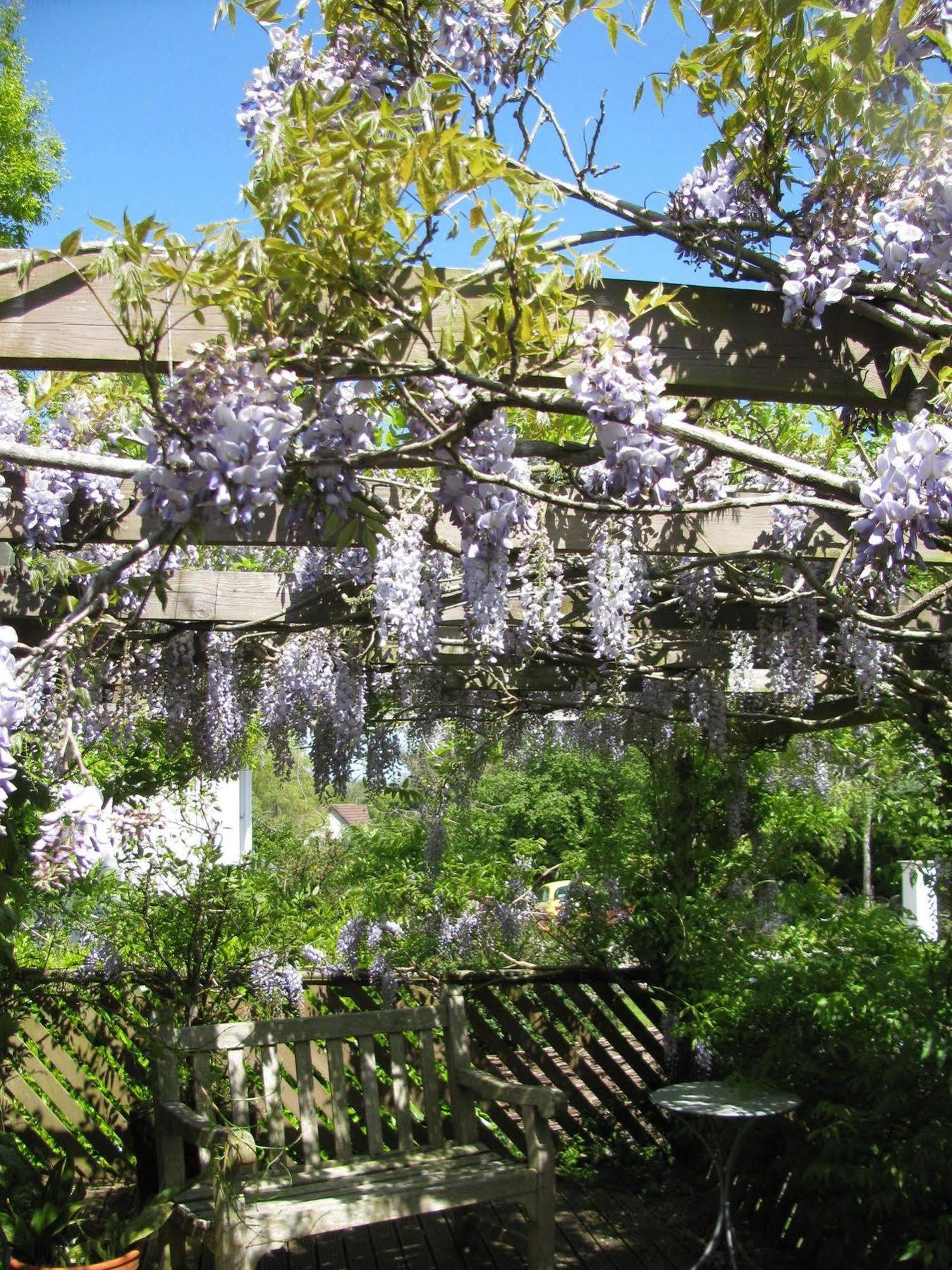 Broadhayes Hotel Totnes Buitenkant foto